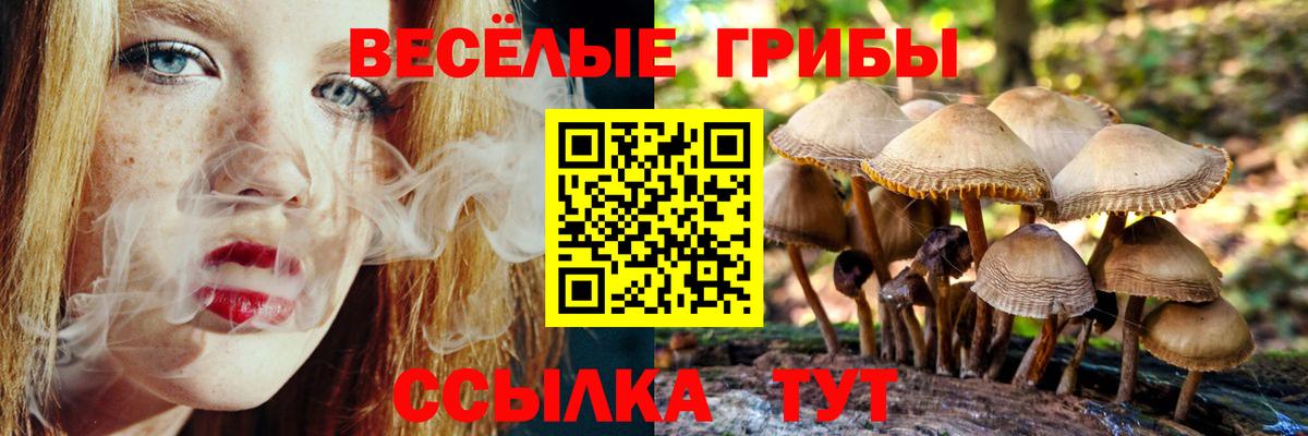 Псилоцибиновые грибы мицелий  Вход с VPN  Псилоцибиновые грибы мухоморы  Шелехов 